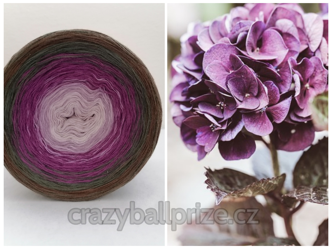 Crazyball - Hortenzie I