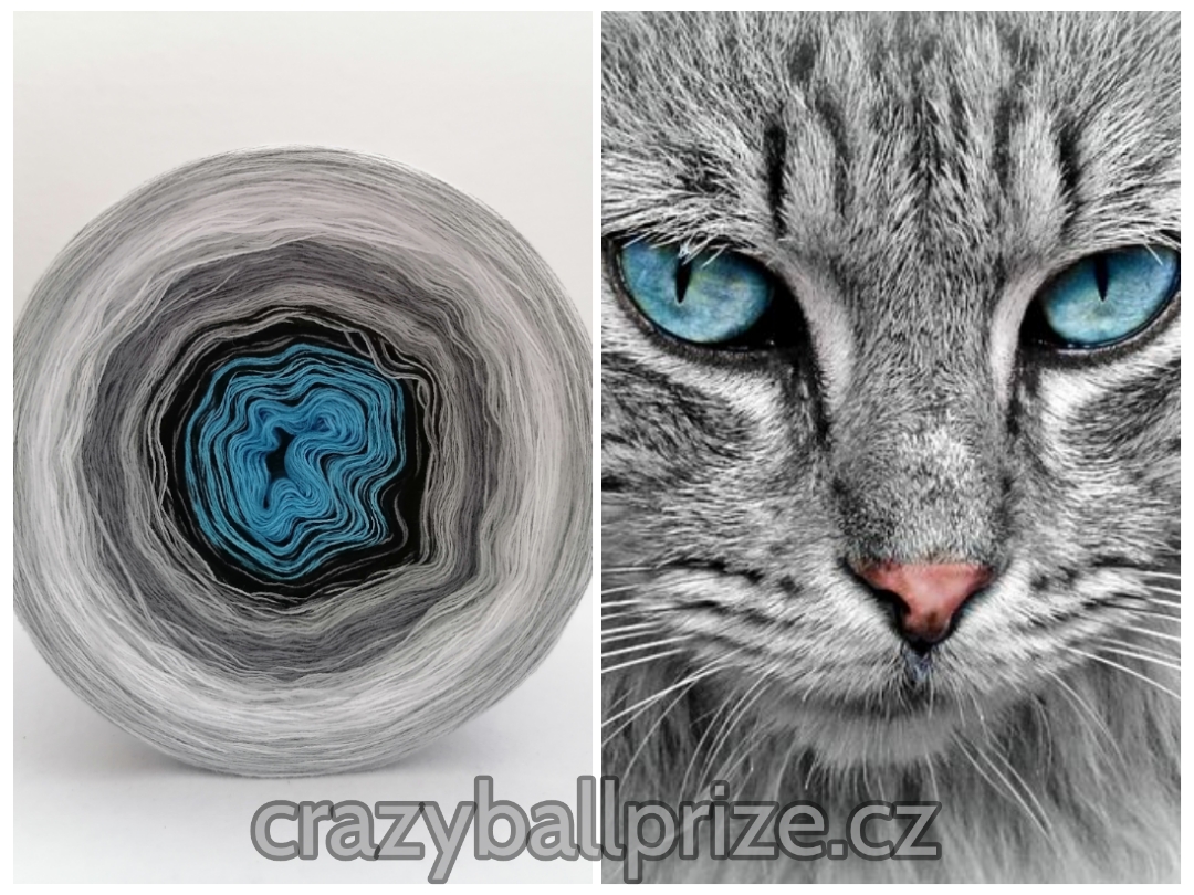 Crazyball - kočička I
