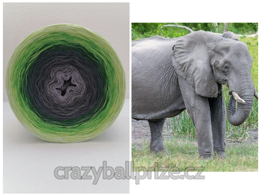 Crazyball - Pod africkým nebem IV