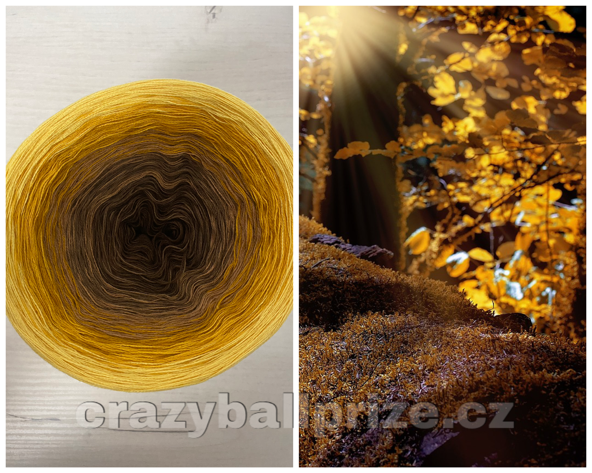 Crazyball - podzim I