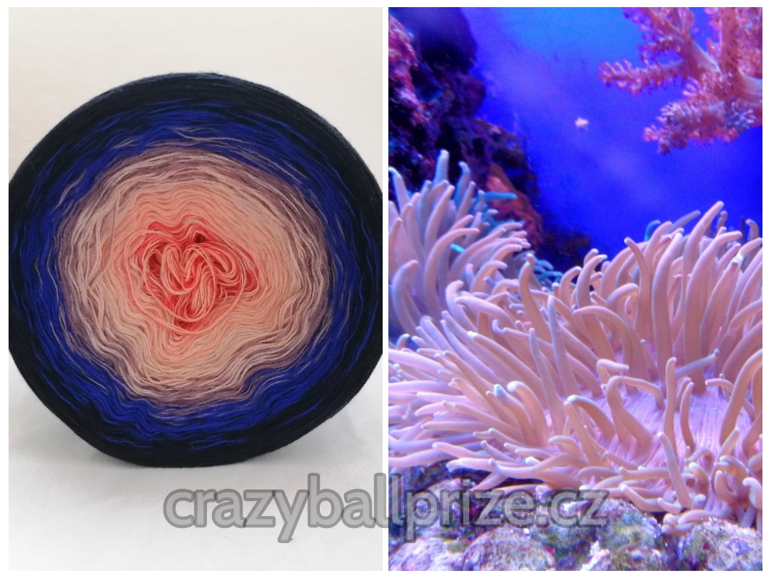 Crazyball - korály