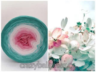 Crazyball - Hortenzie II